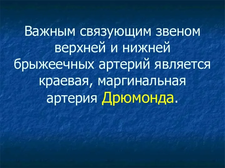 Важным связующим звеном верхней и нижней брыжеечных артерий является краевая, маргинальная артерия Дрюмонда.