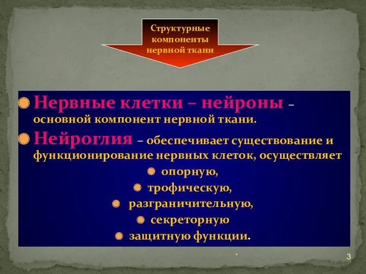 Нервные клетки – нейроны – основной компонент нервной ткани. Нейроглия