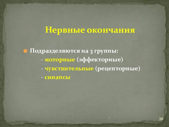 Подразделяются на 3 группы: - моторные (эффекторные) - чувствительные (рецепторные) - синапсы * Нервные окончания