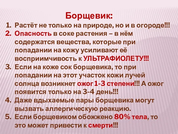 Борщевик: Растёт не только на природе, но и в огороде!!!