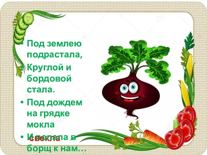 свекла Под землею подрастала, Круглой и бордовой стала. Под дождем