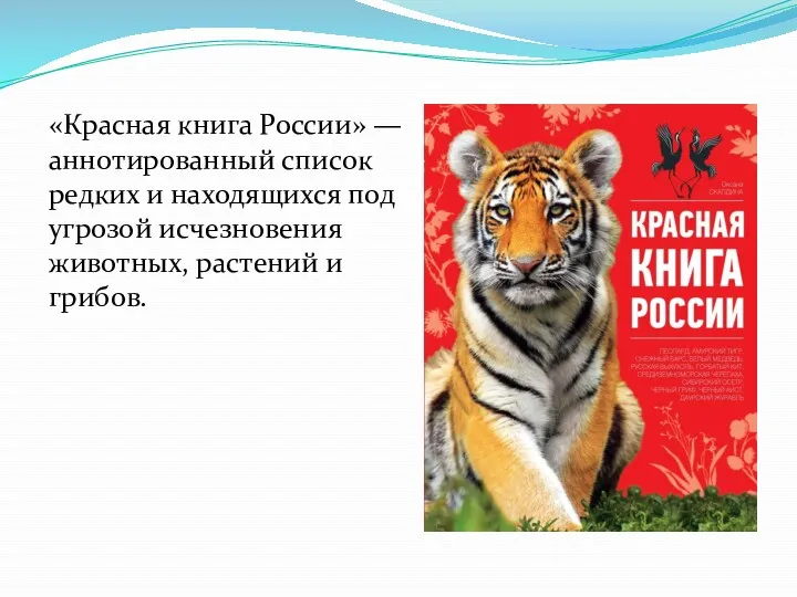 «Красная книга России» — аннотированный список редких и находящихся под угрозой исчезновения животных, растений и грибов.