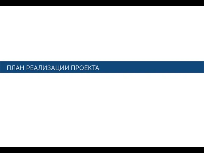 ПЛАН РЕАЛИЗАЦИИ ПРОЕКТА