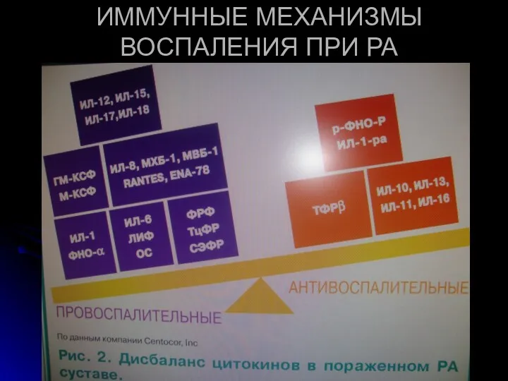 ИММУННЫЕ МЕХАНИЗМЫ ВОСПАЛЕНИЯ ПРИ РА