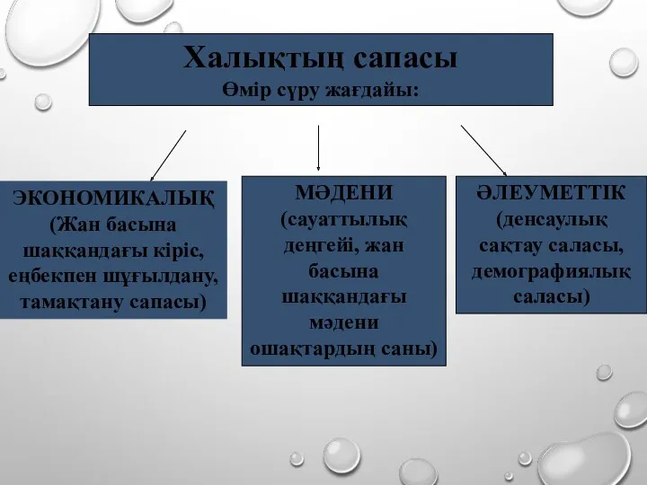 Халықтың сапасы Өмір сүру жағдайы: ЭКОНОМИКАЛЫҚ (Жан басына шаққандағы кіріс,