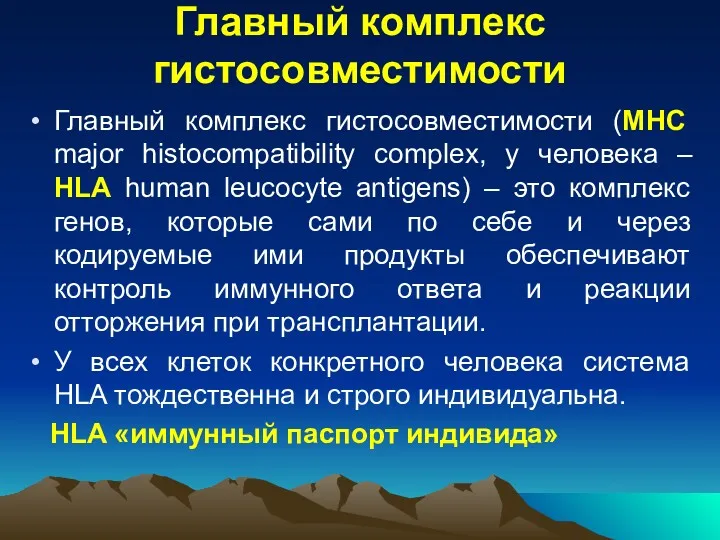 Главный комплекс гистосовместимости Главный комплекс гистосовместимости (МНС major histocompatibility complex,