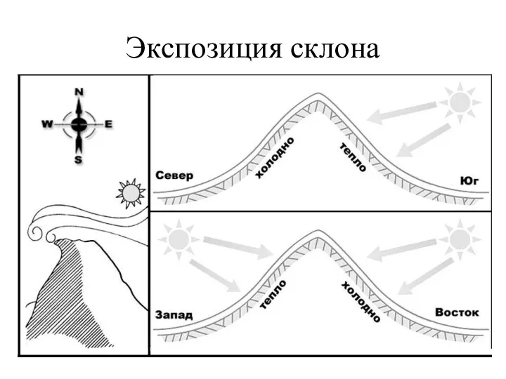 Экспозиция склона