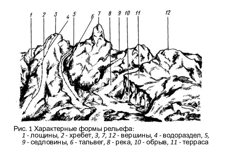 Рис. 1 Характерные формы рельефа: 1 - лощины, 2 -