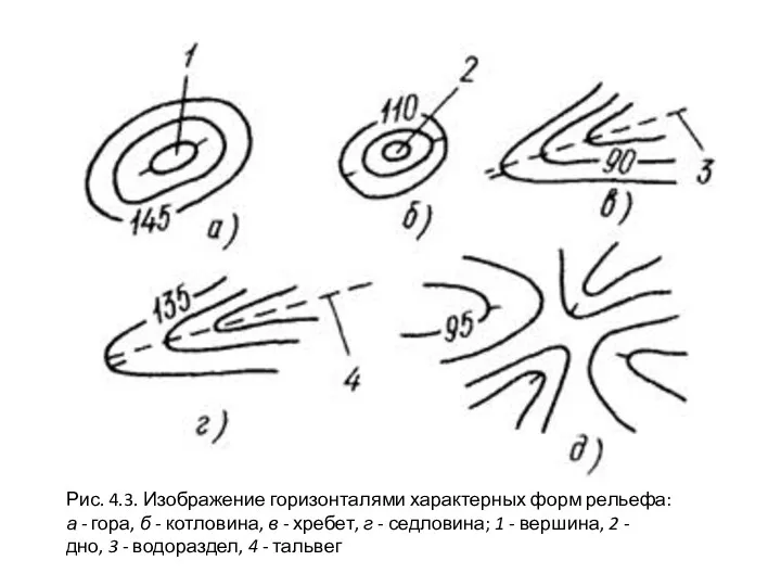 Рис. 4.3. Изображение горизонталями характерных форм рельефа: а - гора,