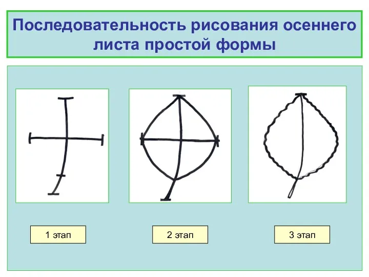 Последовательность рисования осеннего листа простой формы 1 этап 2 этап 3 этап