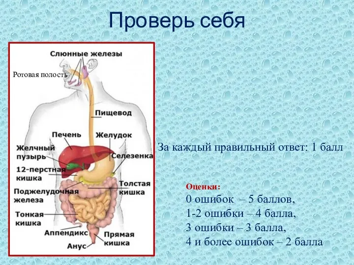 Проверь себя За каждый правильный ответ: 1 балл Оценки: 0