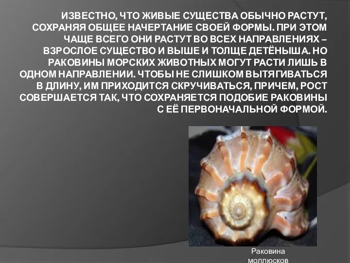 ИЗВЕСТНО, ЧТО ЖИВЫЕ СУЩЕСТВА ОБЫЧНО РАСТУТ, СОХРАНЯЯ ОБЩЕЕ НАЧЕРТАНИЕ СВОЕЙ