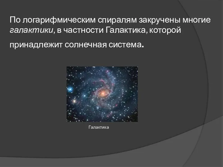 По логарифмическим спиралям закручены многие галактики, в частности Галактика, которой принадлежит солнечная система. Галактика