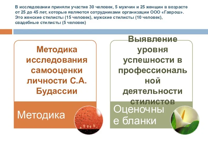 Методика исследования самооценки личности С.А. Будассии Выявление уровня успешности в профессиональной деятельности стилистов