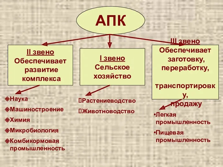 АПК I звено Сельское хозяйство III звено Обеспечивает заготовку, переработку,