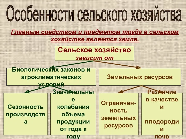 Особенности сельского хозяйства Главным средством и предметом труда в сельском