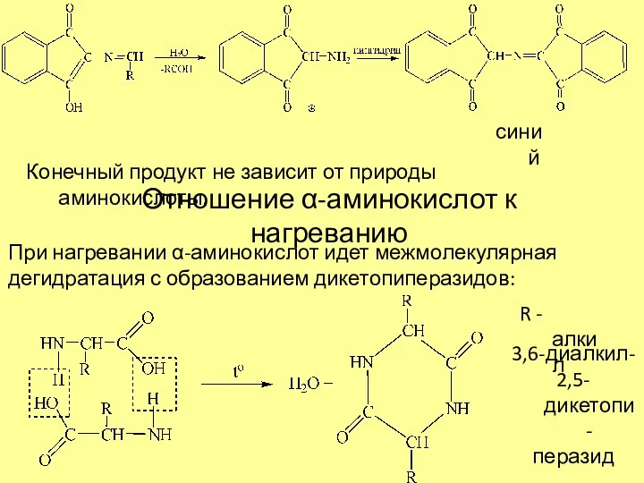 синий Конечный продукт не зависит от природы аминокислоты. Отношение α-аминокислот