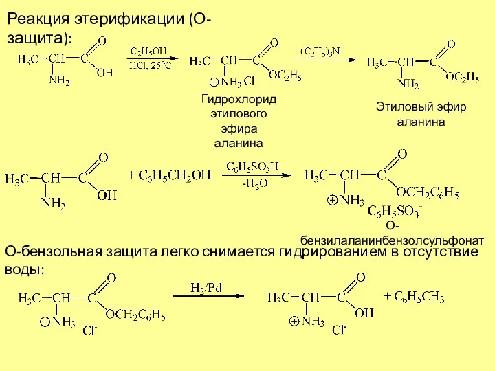 Реакция этерификации (О-защита): Гидрохлорид этилового эфира аланина Этиловый эфир аланина