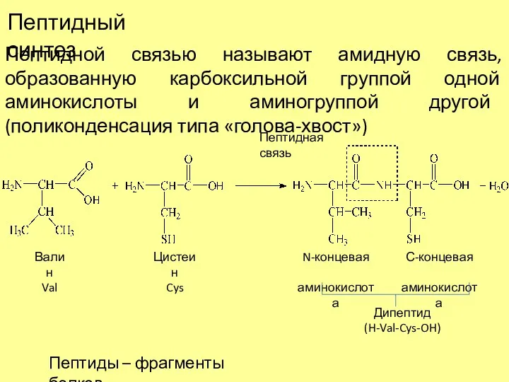 Пептидный синтез Пептидной связью называют амидную связь, образованную карбоксильной группой
