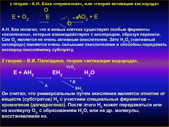 1 теория – А.Н. Баха «перекисная», или «теория активации кислорода»