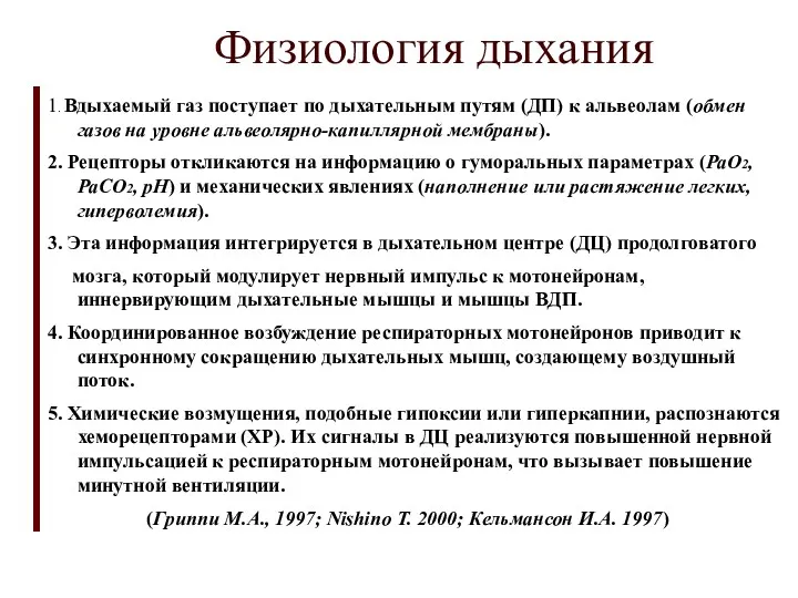 Физиология дыхания 1. Вдыхаемый газ поступает по дыхательным путям (ДП)