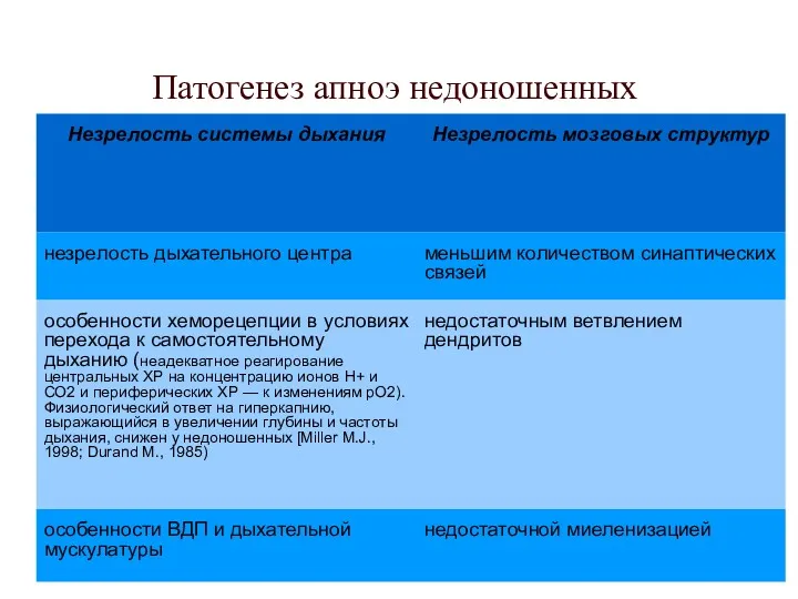 Патогенез апноэ недоношенных