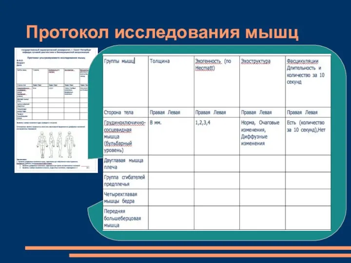 Протокол исследования мышц