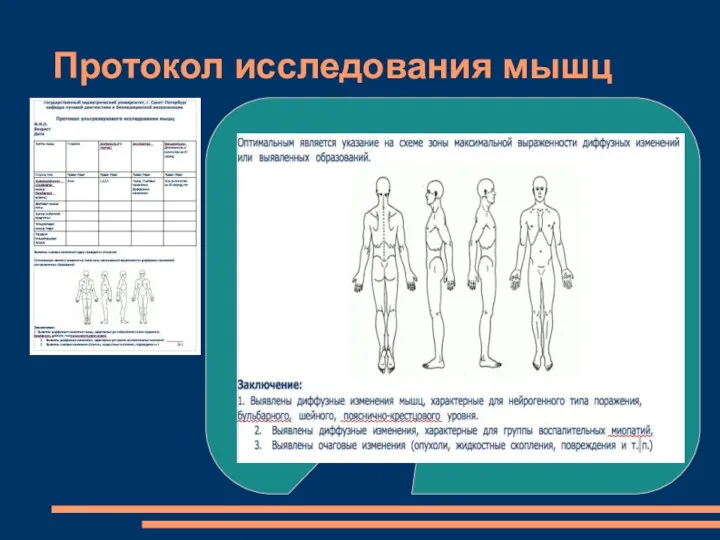 Протокол исследования мышц