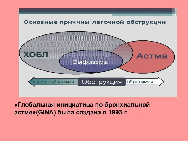 «Глобальная инициатива по бронхиальной астме»(GINA) была создана в 1993 г.