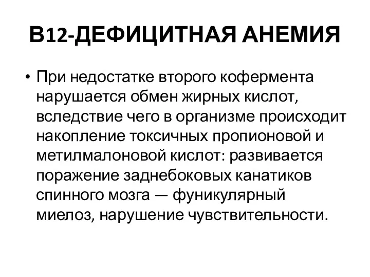 В12-ДЕФИЦИТНАЯ АНЕМИЯ При недостатке второго кофермента нарушается обмен жирных кислот,