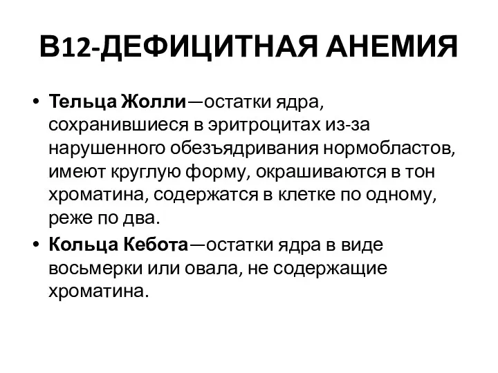 В12-ДЕФИЦИТНАЯ АНЕМИЯ Тельца Жолли—остатки ядра, сохранившиеся в эритроцитах из-за нарушенного