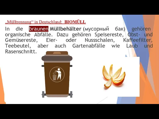 „Mülltrennung“ in Deutschland: BIOMÜLL In die braunen Müllbehälter (мусорный бак)