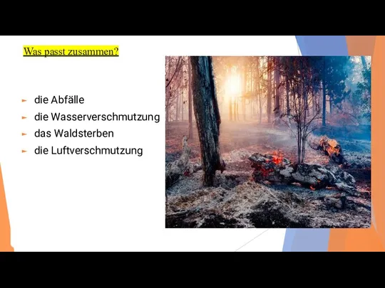 Was passt zusammen? die Abfälle die Wasserverschmutzung das Waldsterben die Luftverschmutzung