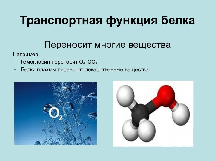 Транспортная функция белка Переносит многие вещества Например: Гемоглобин переносит О2, СО2 Белки плазмы переносят лекарственные вещества