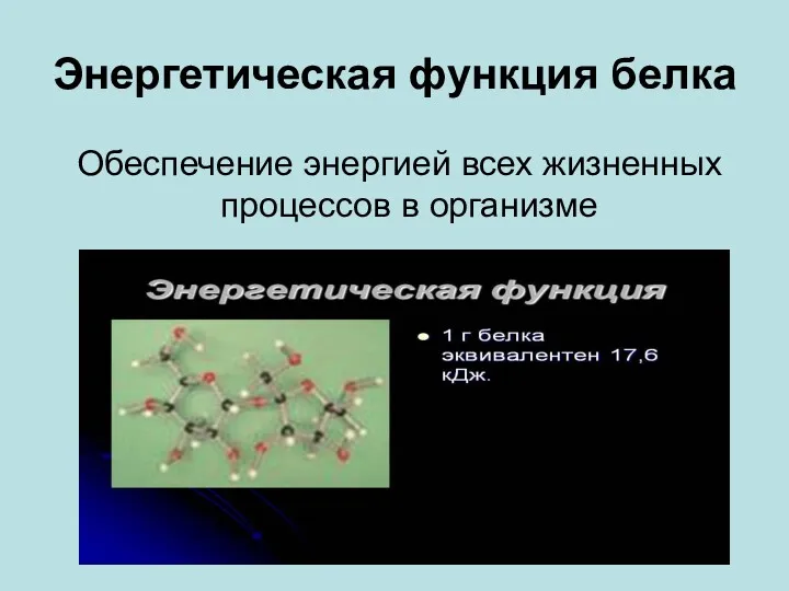 Энергетическая функция белка Обеспечение энергией всех жизненных процессов в организме