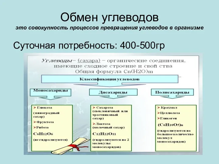 Обмен углеводов это совокупность процессов превращения углеводов в организме Суточная потребность: 400-500гр