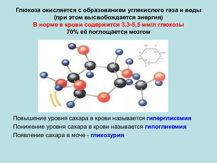 Глюкоза окисляется с образованием углекислого газа и воды (при этом