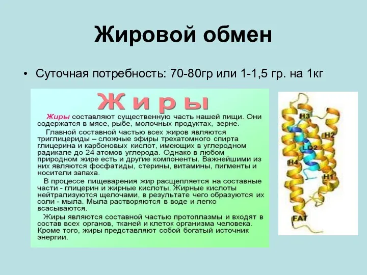 Жировой обмен Суточная потребность: 70-80гр или 1-1,5 гр. на 1кг