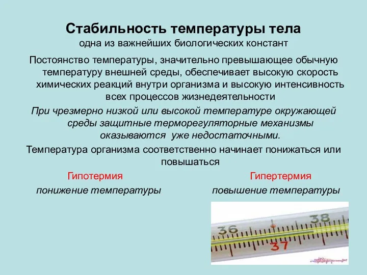 Стабильность температуры тела одна из важнейших биологических констант Постоянство температуры,