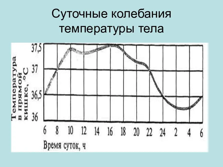 Суточные колебания температуры тела