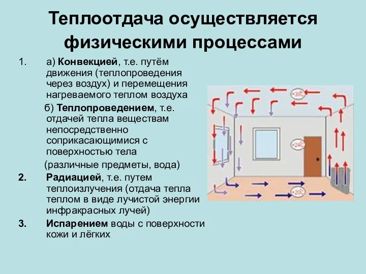 Теплоотдача осуществляется физическими процессами а) Конвекцией, т.е. путём движения (теплопроведения