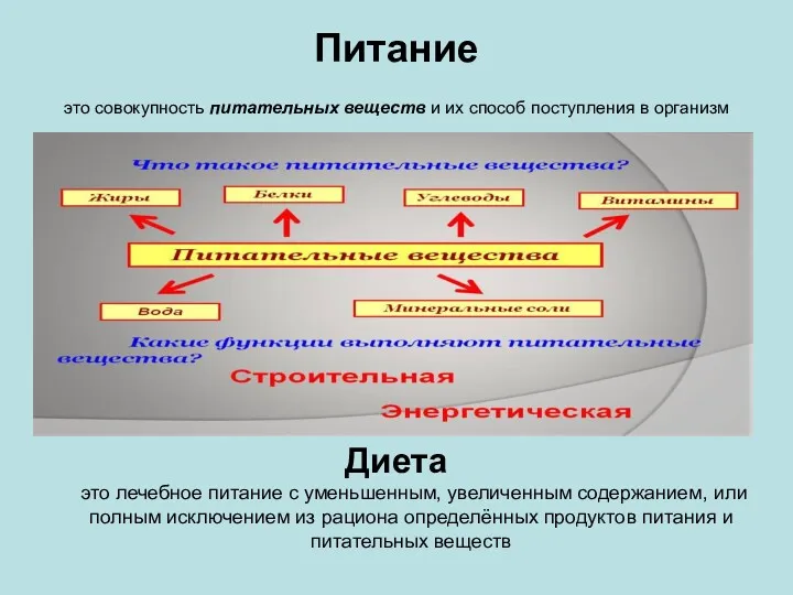 Питание это совокупность питательных веществ и их способ поступления в