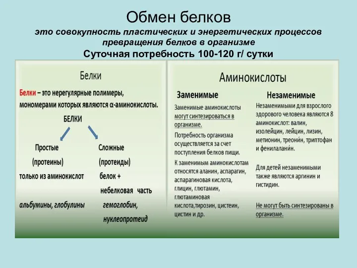 Обмен белков это совокупность пластических и энергетических процессов превращения белков