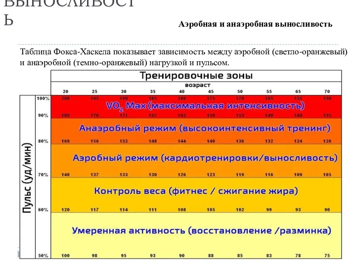 Аэробная и анаэробная выносливость Таблица Фокса-Хаскела показывает зависимость между аэробной