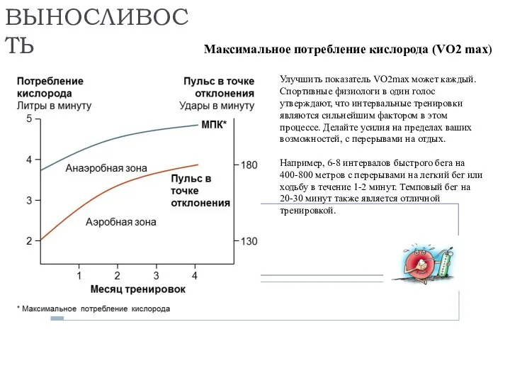 Улучшить показатель VO2max может каждый. Спортивные физиологи в один голос