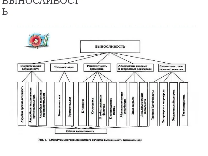 ВЫНОСЛИВОСТЬ