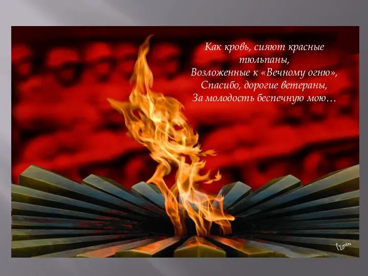 Как кровь, сияют красные тюльпаны, Возложенные к «Вечному огню», Спасибо, дорогие ветераны, За молодость беспечную мою…