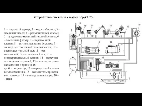 1 – масляный картер; 2 – маслозаборник; 3 – масляный