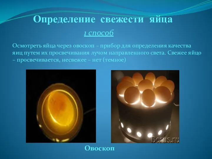 Определение свежести яйца 1 способ Овоскоп Осмотреть яйца через овоскоп – прибор для