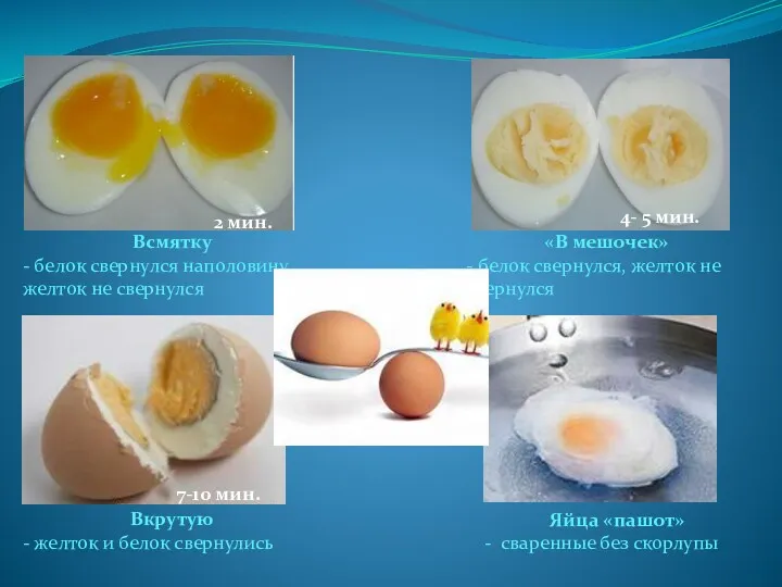 Яйца «пашот» - сваренные без скорлупы Всмятку - белок свернулся наполовину, желток не
